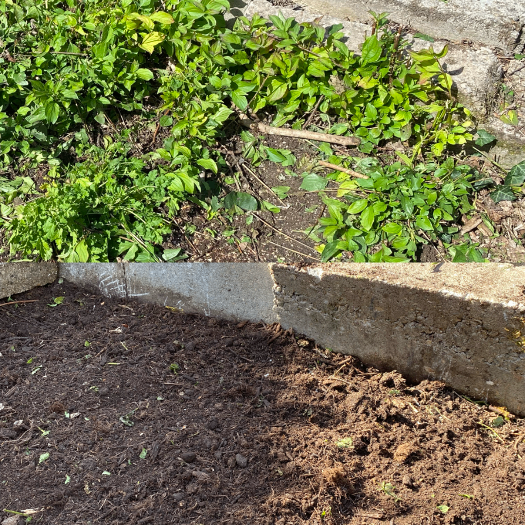 Kundenbeet vor und nach der Pflege