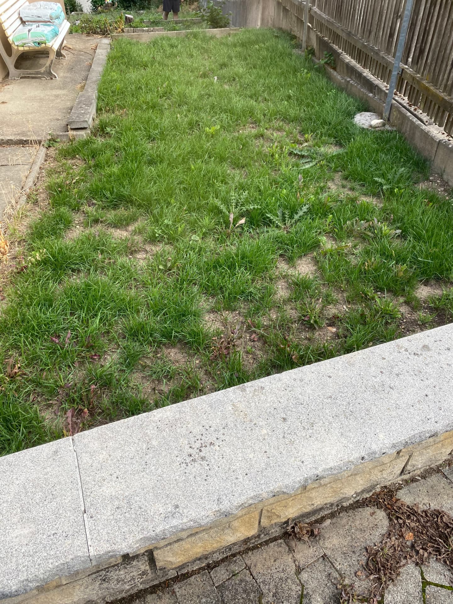 Rasenfläche im Garten eines Kunden